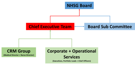 plan for the future risk management governance