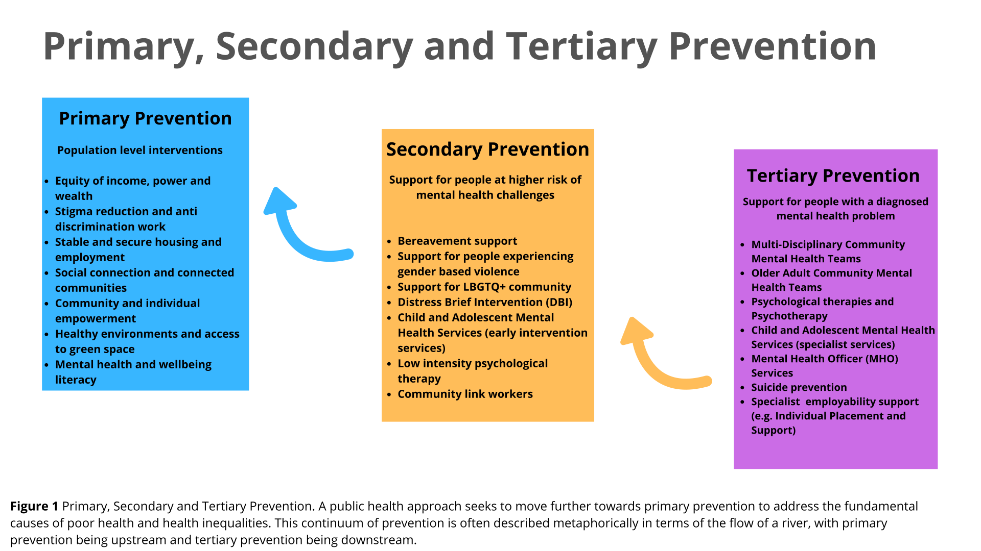 1260268852-Primary--Secondary-and-Tertiary-Prevention--1-.png