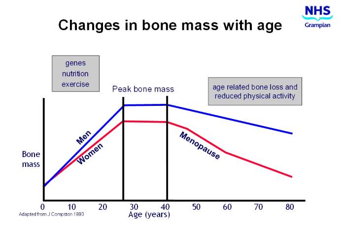 Changesinbonemesswithage.jpg