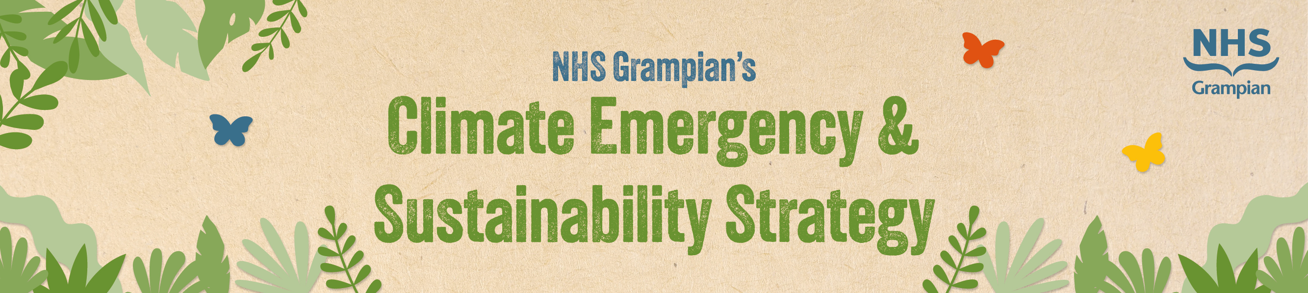 CES Strategy, ©NHS Grampian CES Strategy
