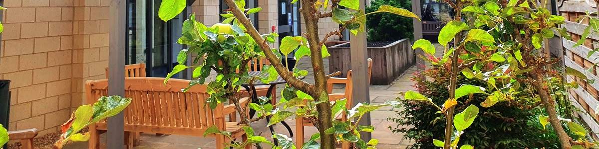 Dr Gray's Sensory Garden