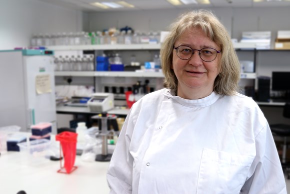 Professor Zosia Miedzybrodzka, Professor of Medical Genetics at the University of Aberdeen, is Director of the NHS North of Scotland Genetic Service, ©NHS Grampian / University of Aberdeen Professor Zosia Miedzybrodzka, Professor of Medical Genetics at the University of Aberdeen, is Director of the NHS North of Scotland Genetic Service
